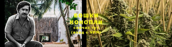 прущая мука Нея