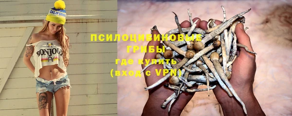 прущая мука Нея